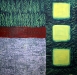 Spring II